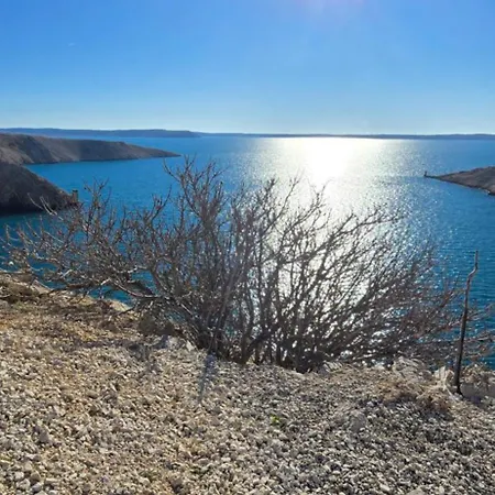 Coastal דירה זאדאר