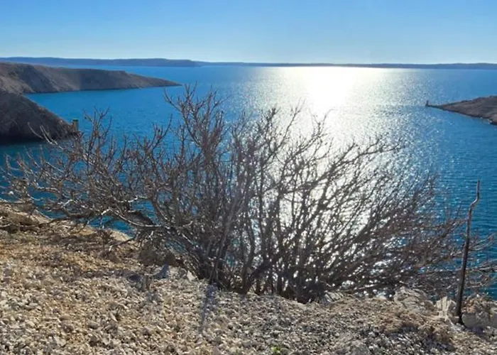 Coastal 公寓 扎达尔